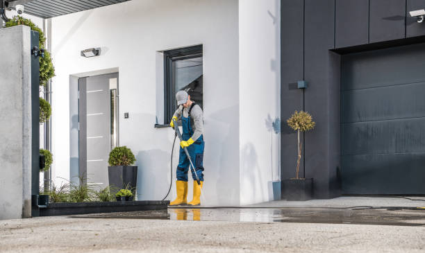 Best Soft Washing  in Scottville, MI